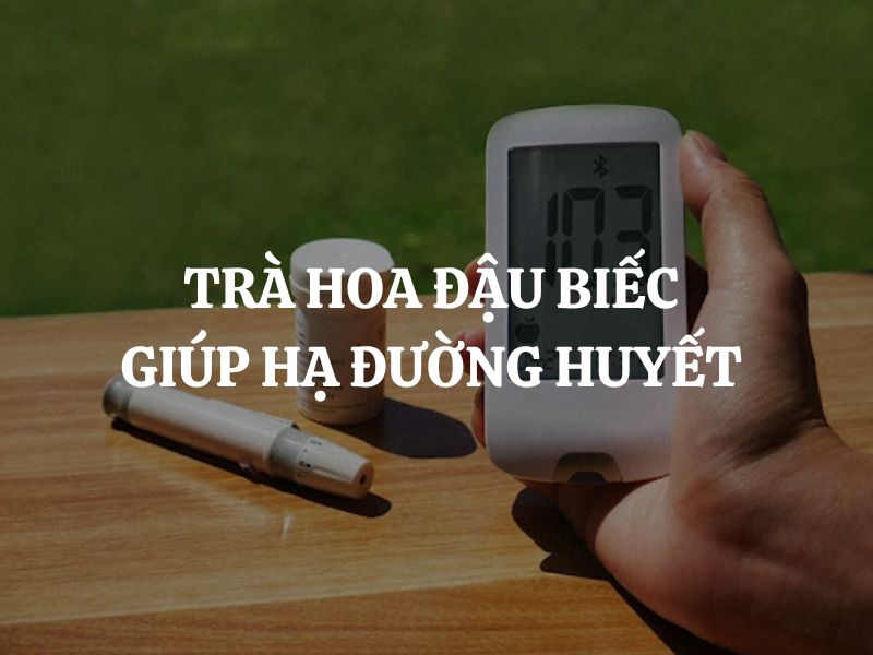 Trà hoa đậu biếc giúp hạ đường huyết và cải thiện sức khỏe tự nhiên