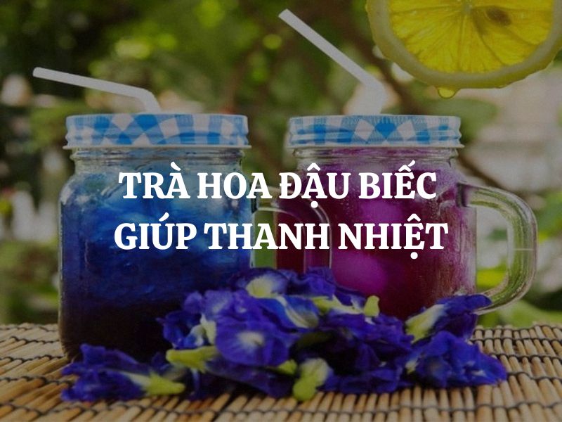 Trà hoa đậu biếc giúp thanh nhiệt như thế nào? Cách sử dụng hiệu quả