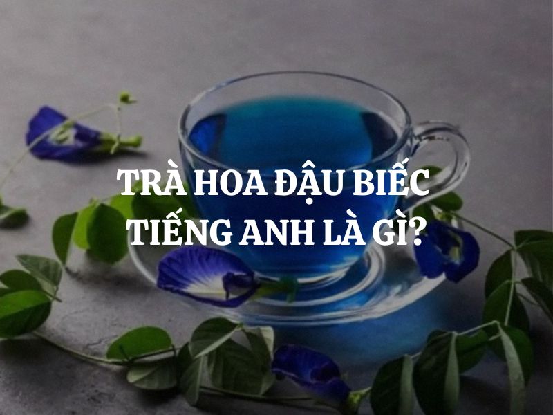 Trà hoa đậu biếc tiếng Anh là gì? Câu trả lời khiến bạn bất ngờ