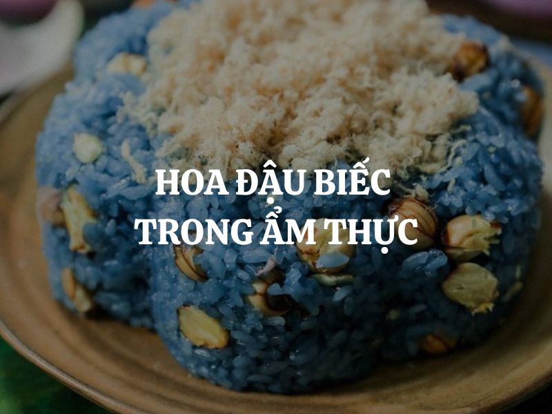 Ứng dụng đa dạng của hoa đậu biếc trong ẩm thực từ món ăn đến đồ uống
