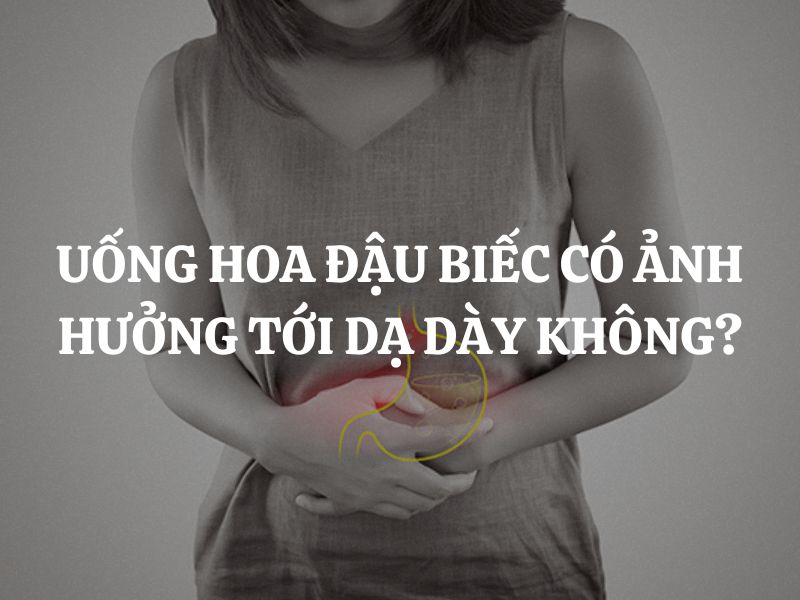 Giải đáp thắc mắc: Uống hoa đậu biếc có ảnh hưởng tới dạ dày không?