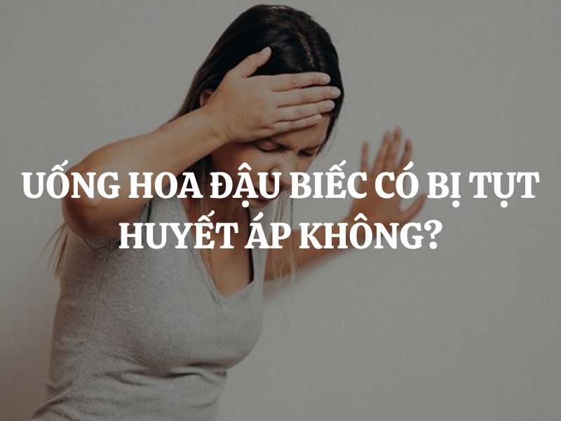 Uống hoa đậu biếc có bị tụt huyết áp không và cách uống an toàn
