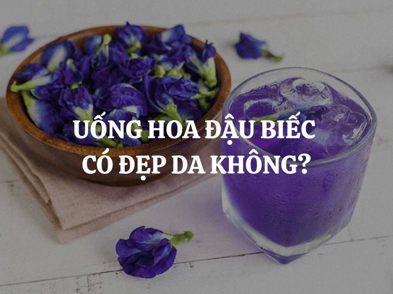 Uống hoa đậu biếc có đẹp da không? Cơ chế tác động của hoa đậu biếc lên làn da