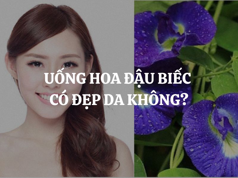 Uống hoa đậu biếc có đẹp da không? Cách sử dụng hoa đậu biếc để làm đẹp da hiệu quả