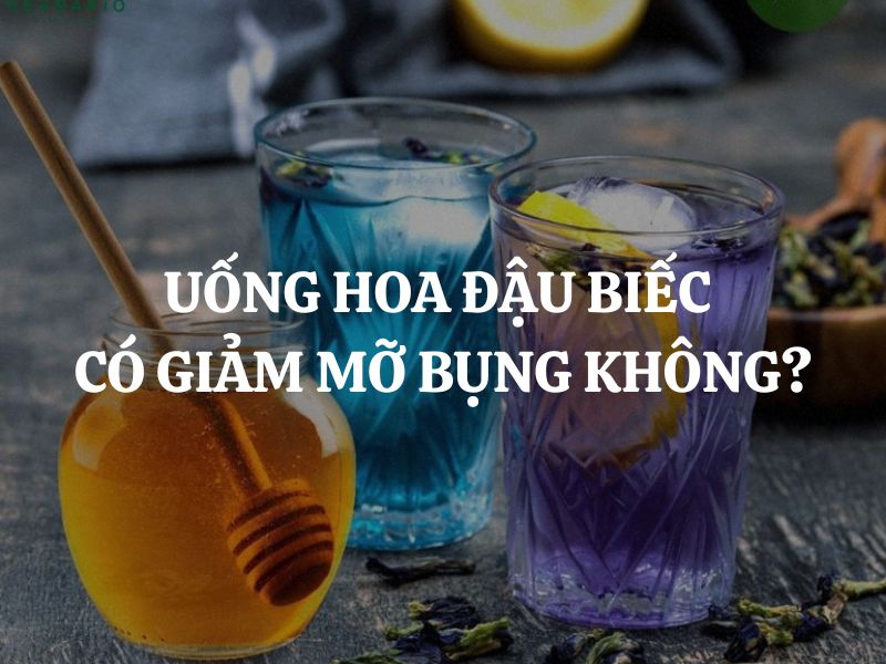 Uống hoa đậu biếc có giảm mỡ bụng không? Sự thật bạn cần biết