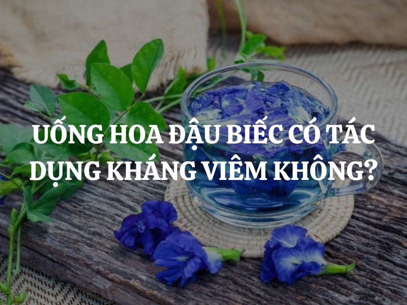 Uống hoa đậu biếc có tác dụng kháng viêm không? Những lợi ích sức khỏe khác
