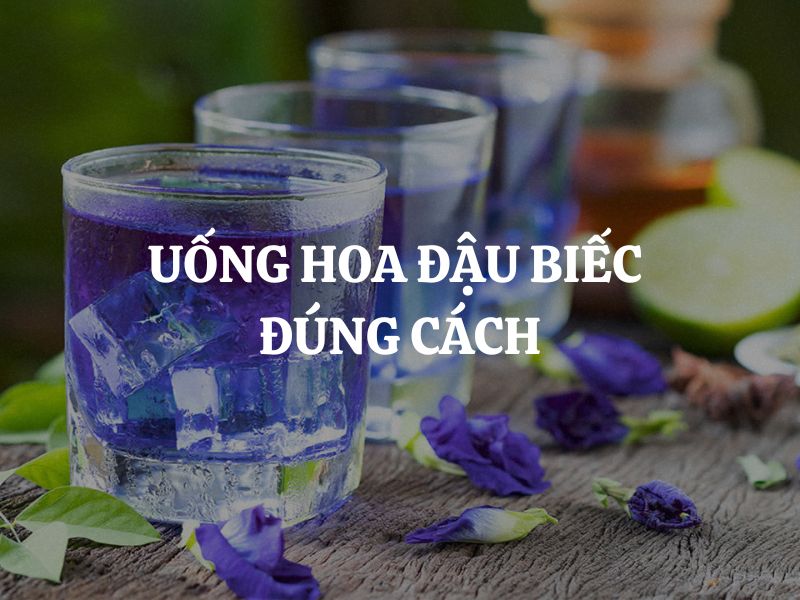 Uống hoa đậu biếc đúng cách: Bí quyết tận dụng trọn vẹn lợi ích cho sức khỏe