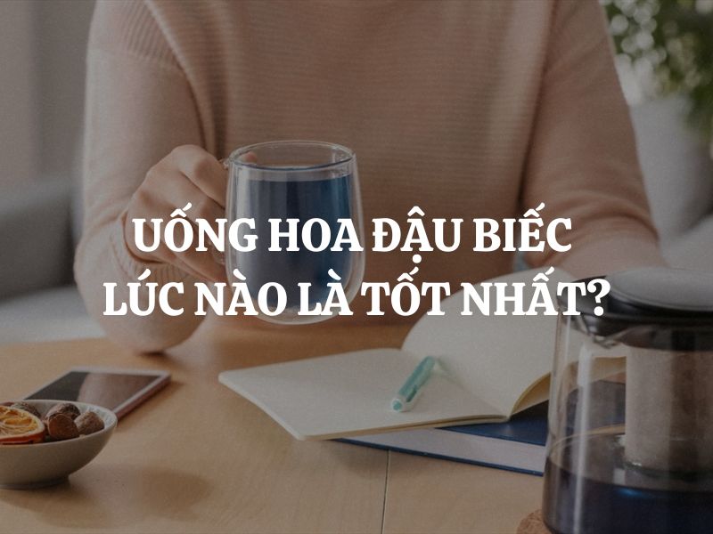 Uống hoa đậu biếc lúc nào là tốt nhất để cơ thể hấp thu tối đa dưỡng chất?