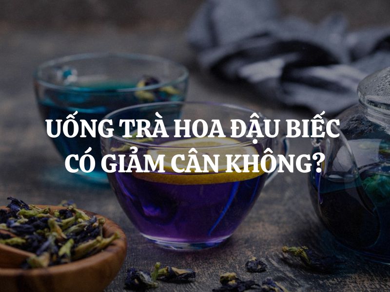 Uống trà hoa đậu biếc có giảm cân không? Cách sử dụng trà hoa đậu biếc để hỗ trợ giảm cân