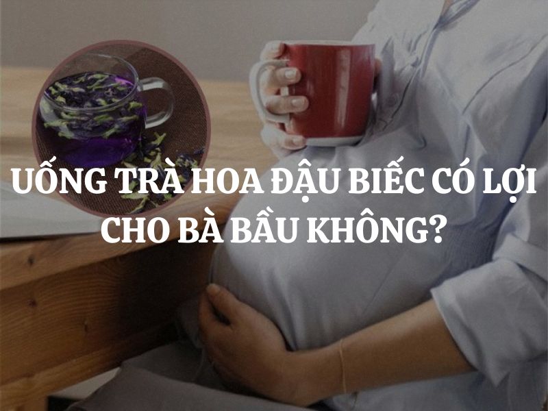 Uống trà hoa đậu biếc có lợi cho bà bầu không? Sử dụng như thế nào cho an toàn?