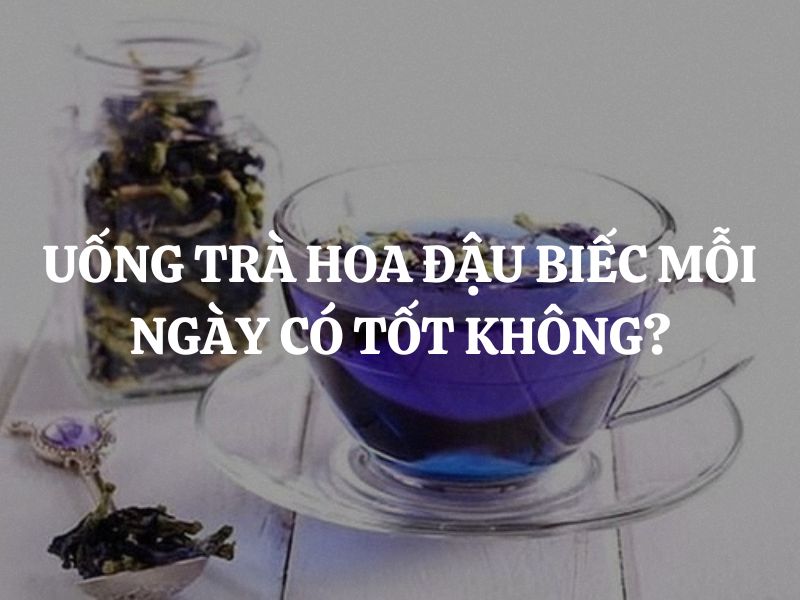 Uống trà hoa đậu biếc mỗi ngày có tốt không? Có lợi hay có hại cho sức khỏe?